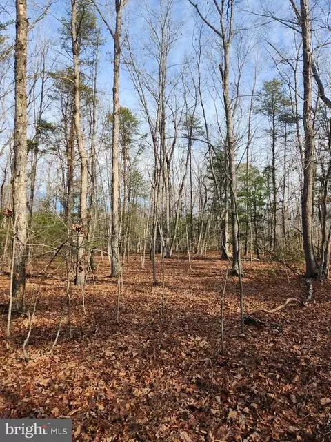 Shore Dr, Orange, VA 22960 photo 8