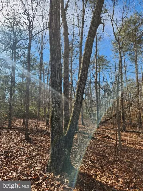 Shore Dr, Orange, VA 22960 photo 13