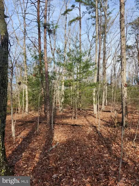 Shore Dr, Orange, VA 22960 photo 9