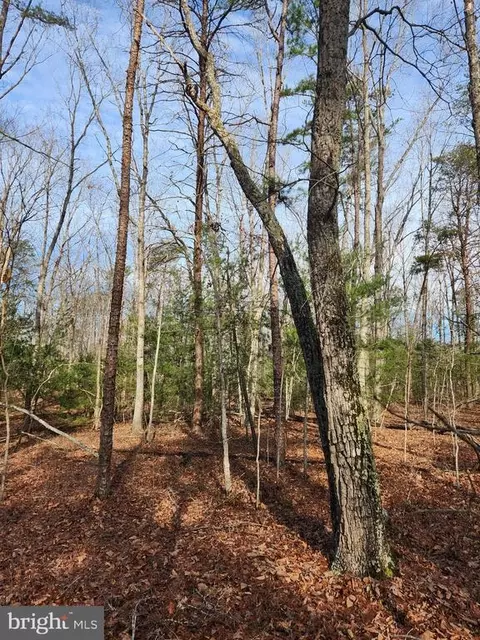 Shore Dr, Orange, VA 22960 photo 12