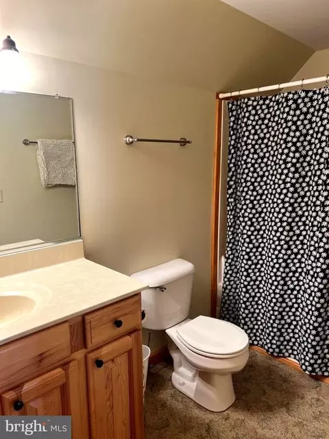 26536 Pennfields Dr, Orange, VA 22960 photo 56