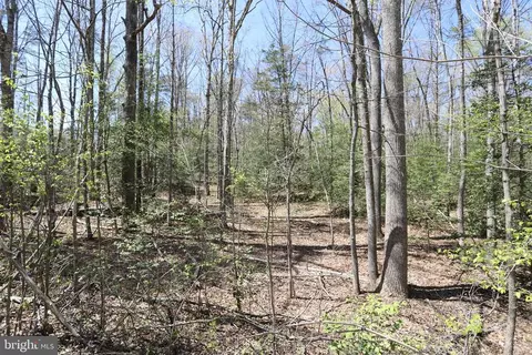 New Hampshire Rd, Rhoadesville, VA 22542 photo 3