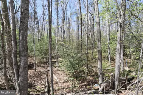 New Hampshire Rd, Rhoadesville, VA 22542 photo 2