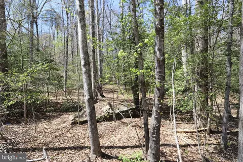 New Hampshire Rd, Rhoadesville, VA 22542
