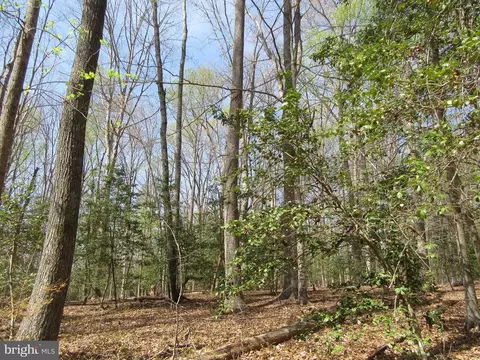 Old Office Rd, Rhoadesville, VA 22542 photo 7