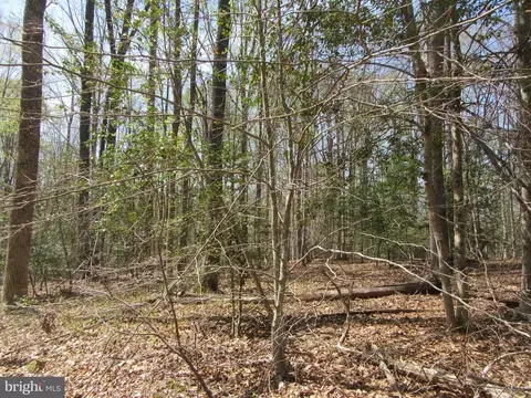 Old Office Rd, Rhoadesville, VA 22542 photo 5