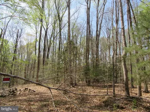 Old Office Rd, Rhoadesville, VA 22542 photo 9