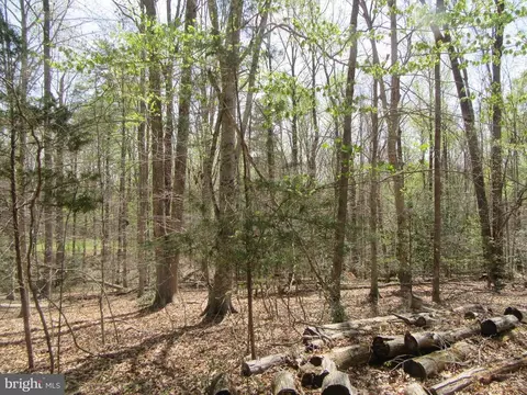 Old Office Rd, Rhoadesville, VA 22542 photo 8