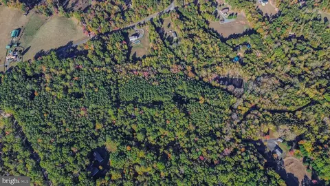 Beech Tree Road, Orange, VA 22960 photo 18