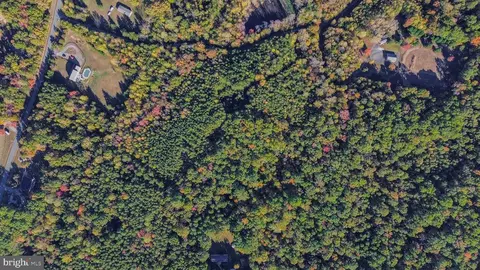 Beech Tree Road, Orange, VA 22960 photo 17