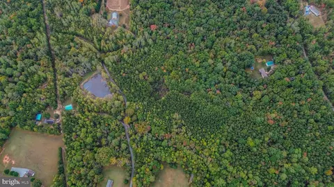 Beech Tree Road, Orange, VA 22960 photo 14