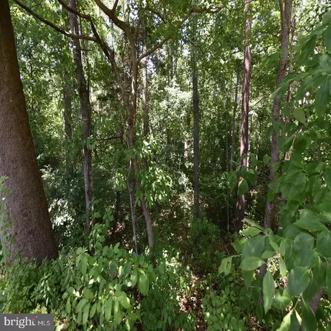 34 Mcalexander Rd, Orange, VA 22960 photo 9
