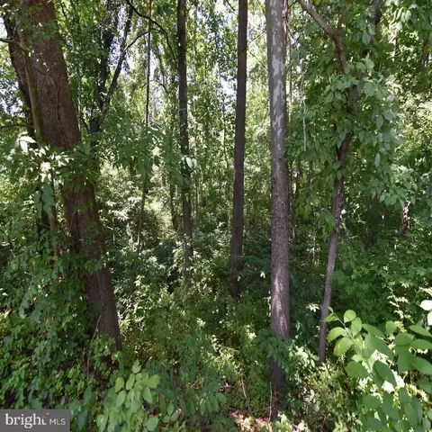 34 Mcalexander Rd, Orange, VA 22960 photo 10