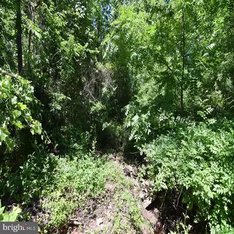 34 Mcalexander Rd, Orange, VA 22960 photo 8