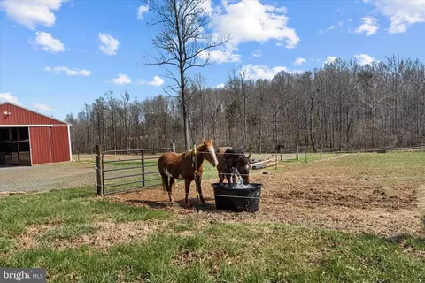 9107 Grasty Gold Mine Rd, Rhoadesville, VA 22542 photo 67