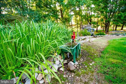 4 Jamison Rd, Luray, VA 22835 photo 56