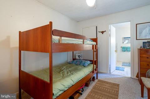353 Mill Run Rd, Shenandoah, VA 22849 photo 11