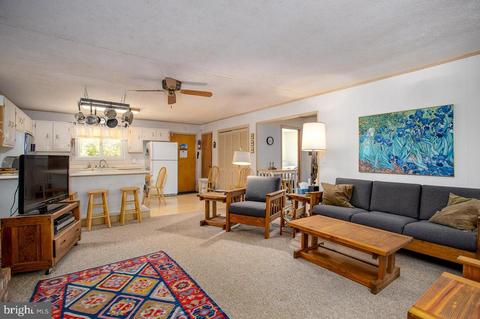 353 Mill Run Rd, Shenandoah, VA 22849 photo 6