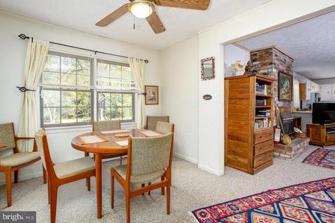 353 Mill Run Rd, Shenandoah, VA 22849 photo 8