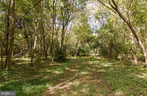 353 Mill Run Rd, Shenandoah, VA 22849 photo 40