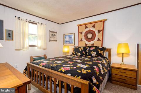 353 Mill Run Rd, Shenandoah, VA 22849 photo 9