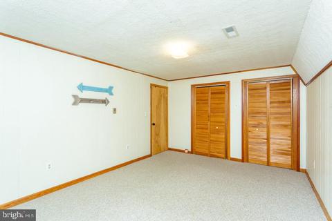 609 Mountain View Rd, Shenandoah, VA 22849 photo 19