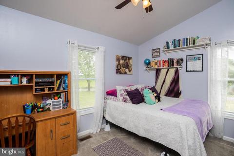 248 Rinaca Ln, Shenandoah, VA 22849 photo 14