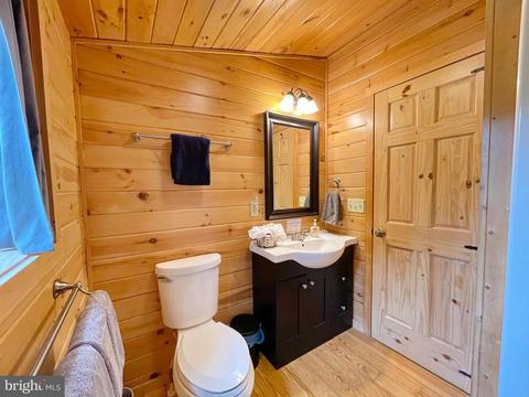 149 River View Pl, Shenandoah, VA 22849 photo 32