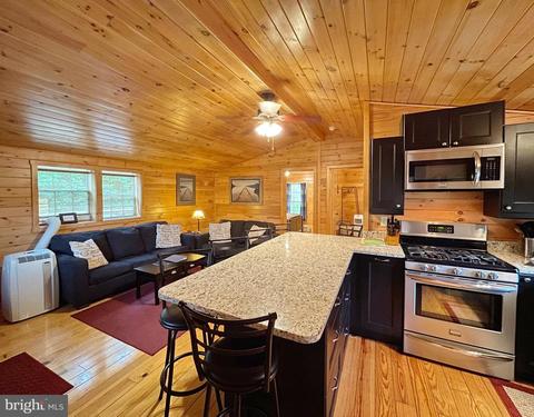 149 River View Pl, Shenandoah, VA 22849 photo 4