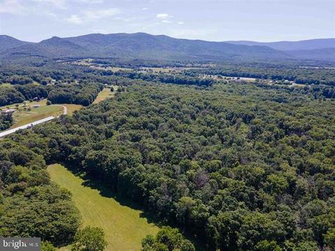 Verbena, Shenandoah, VA 22849