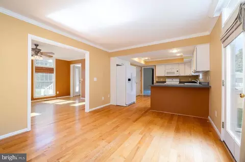 141 Back Rd, Shenandoah, VA 22849 photo 10