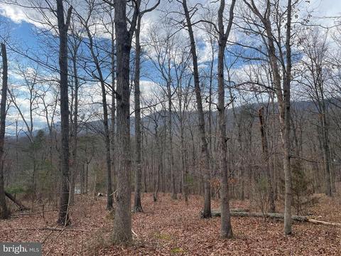 Lot 42 Riverview Dr, Luray, VA 22835