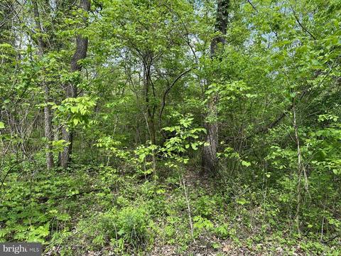 Greenway Lane, Luray, VA 22835