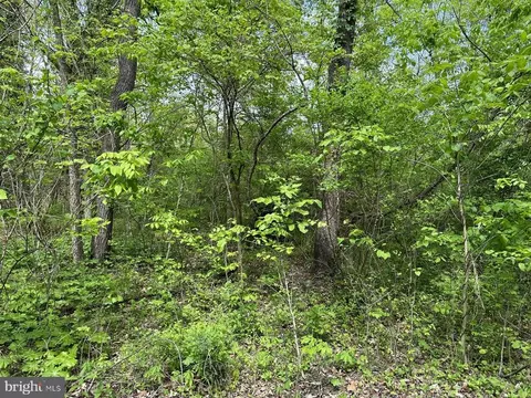 Greenway Lane, Luray, VA 22835