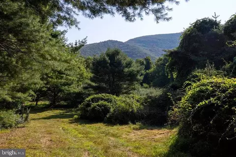 Pine Grove Rd, Stanley, VA 22851 photo 8