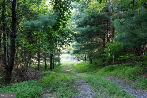 Pine Grove Rd, Stanley, VA 22851 photo 10