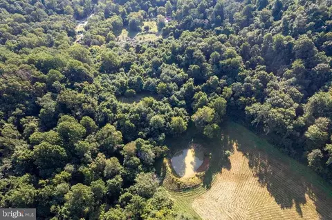 Pine Grove Rd, Stanley, VA 22851 photo 42