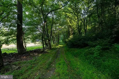 Pine Grove Rd, Stanley, VA 22851 photo 14