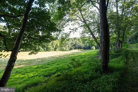 Pine Grove Rd, Stanley, VA 22851 photo 17