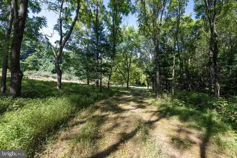 Pine Grove Rd, Stanley, VA 22851 photo 7