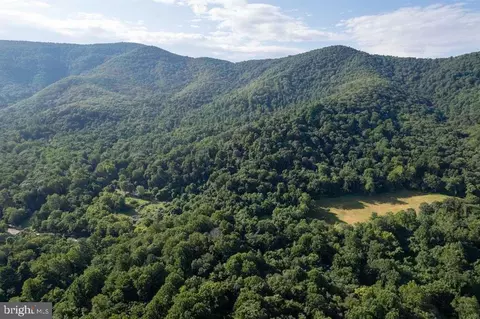 Pine Grove Rd, Stanley, VA 22851 photo 33