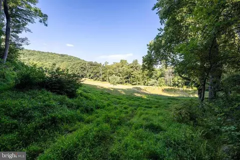 Pine Grove Rd, Stanley, VA 22851 photo 11