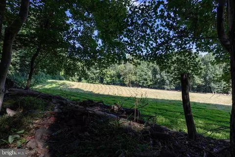 Pine Grove Rd, Stanley, VA 22851 photo 16