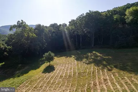 Pine Grove Rd, Stanley, VA 22851 photo 22
