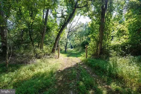 Pine Grove Rd, Stanley, VA 22851 photo 4