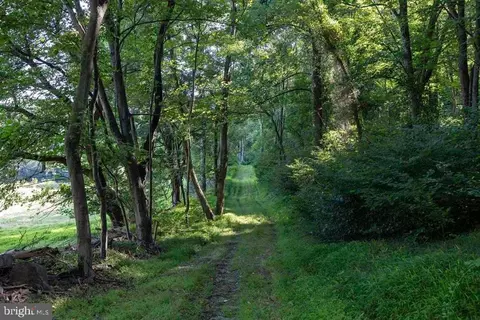 Pine Grove Rd, Stanley, VA 22851 photo 15