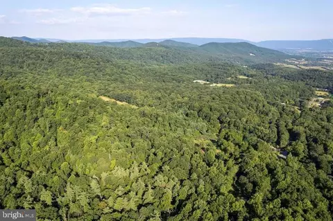 Pine Grove Rd, Stanley, VA 22851 photo 47