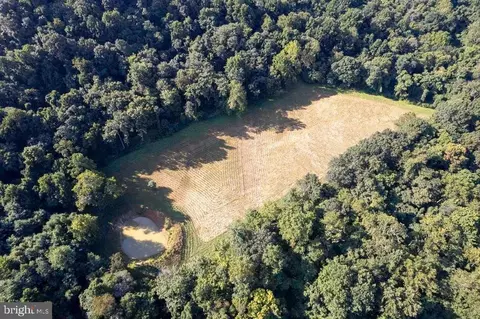 Pine Grove Rd, Stanley, VA 22851 photo 39