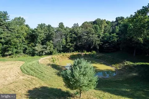 Pine Grove Rd, Stanley, VA 22851 photo 21