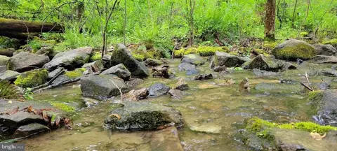 Pine Grove Rd, Stanley, VA 22851 photo 55